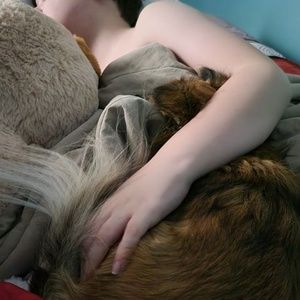 Meet your Posher, Robin